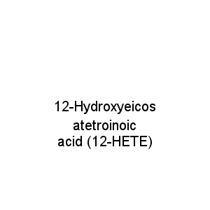 12-Hydroxyeicosatetroinoic acid (12-HETE)